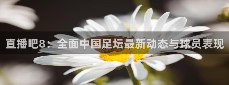 直播吧8：全面中国足坛最新动态与球员表现