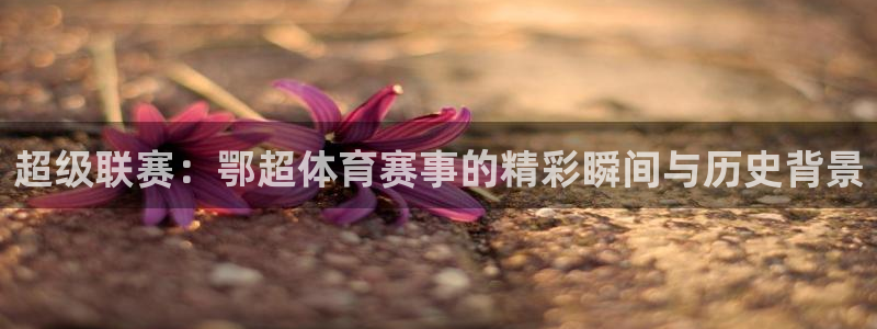 超级联赛：鄂超体育赛事的精彩瞬间与历史背景