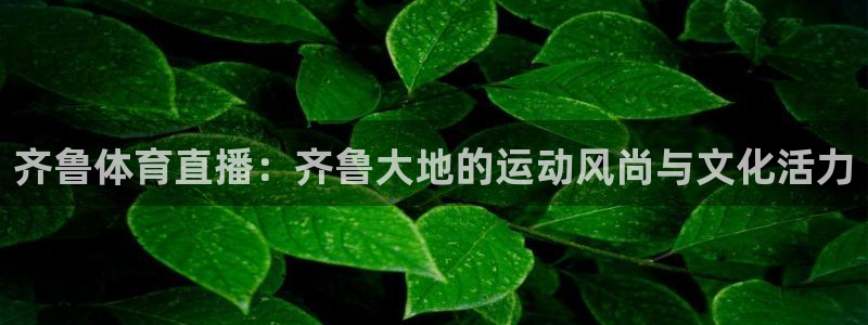 齐鲁体育直播：齐鲁大地的运动风尚与文化活力