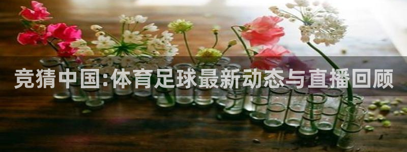 竞猜中国:体育足球最新动态与直播回顾