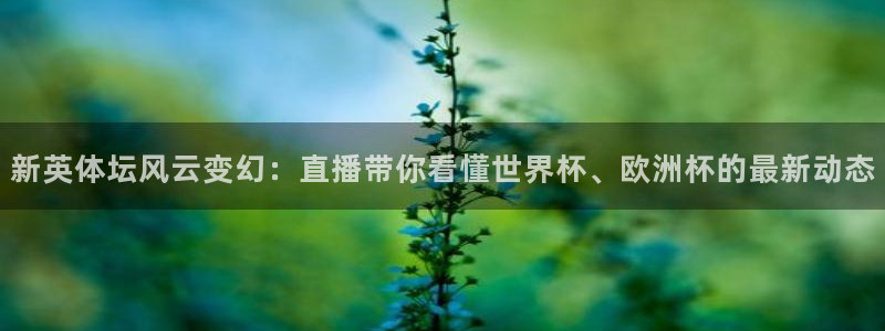 新英体坛风云变幻：直播带你看懂世界杯、欧洲杯的最新动态