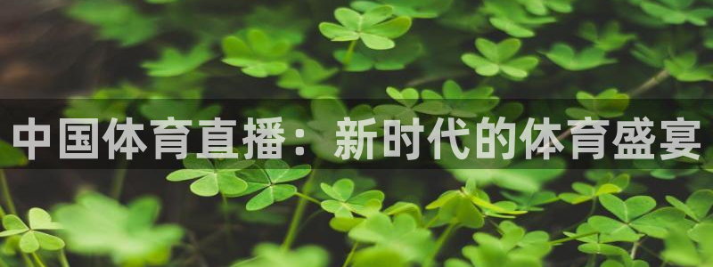 中国体育直播：新时代的体育盛宴