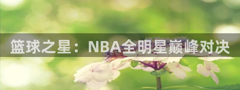 篮球之星：NBA全明星巅峰对决