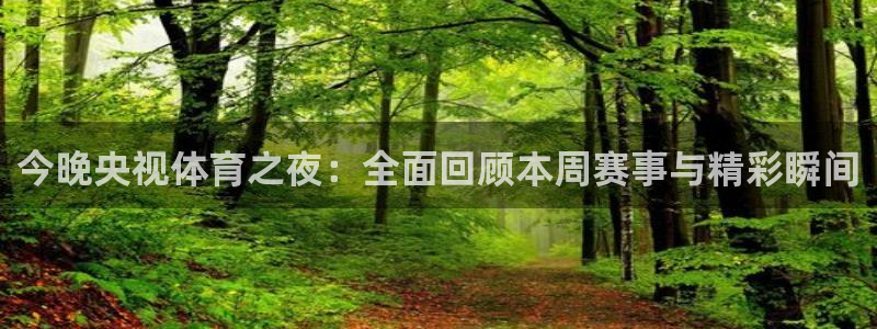 今晚央视体育之夜：全面回顾本周赛事与精彩瞬间