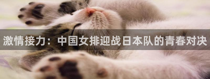 激情接力：中国女排迎战日本队的青春对决