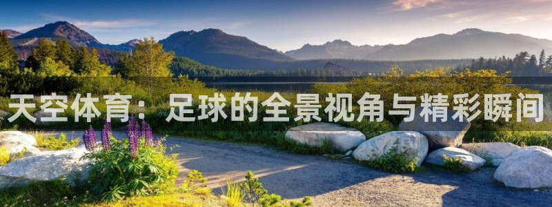 天空体育：足球的全景视角与精彩瞬间