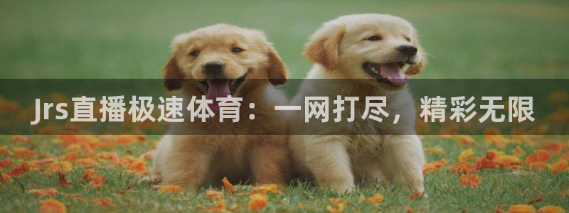 Jrs直播极速体育：一网打尽，精彩无限