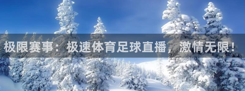 极限赛事：极速体育足球直播，激情无限！